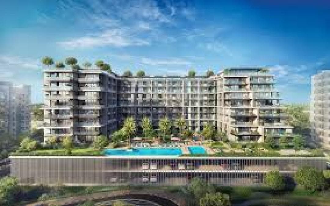 Serenova — photo 4